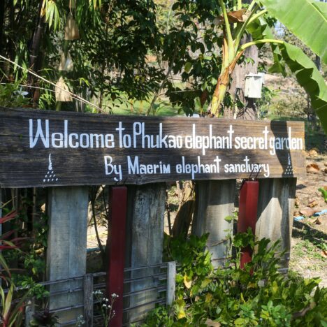 Thailand – Chiang Mai 23.–24.01.2026