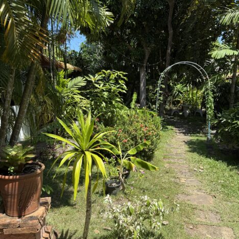 Thailand – Koh Phangan 20.-24.02.2026